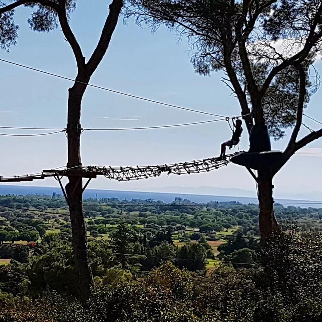 鏍戦《鎺㈤櫓鍏洯娓哥帺,鏍戦《鎺㈤櫓鍏洯娓哥帺鏀荤暐