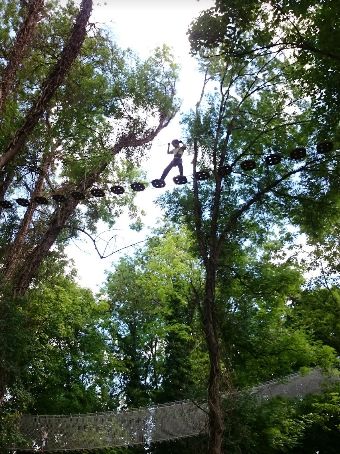 鏍戦《鎺㈤櫓鍏洯娓哥帺,鏍戦《鎺㈤櫓鍏洯娓哥帺鏀荤暐