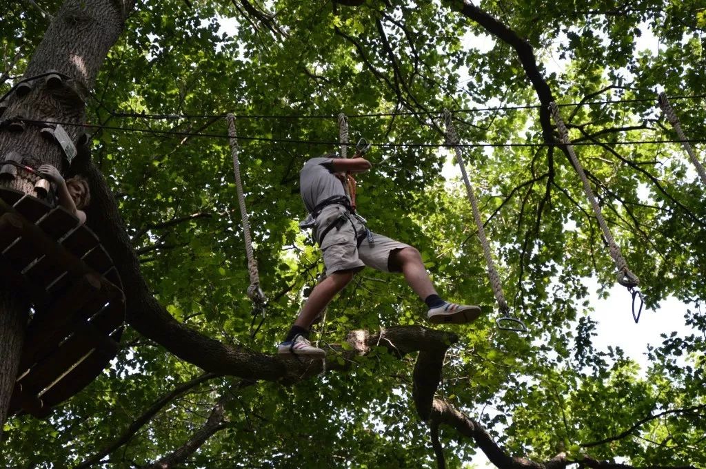 鏍戦《鎺㈤櫓鍏洯娓哥帺,鏍戦《鎺㈤櫓鍏洯娓哥帺鏀荤暐