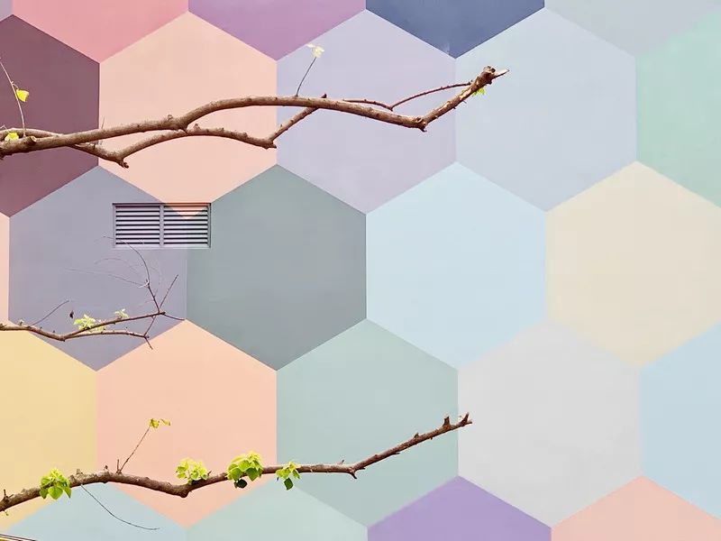 全球最受欢迎树屋酒店｜夜晚坠入大自然的梦乡，清晨在森林的枝桠间醒来