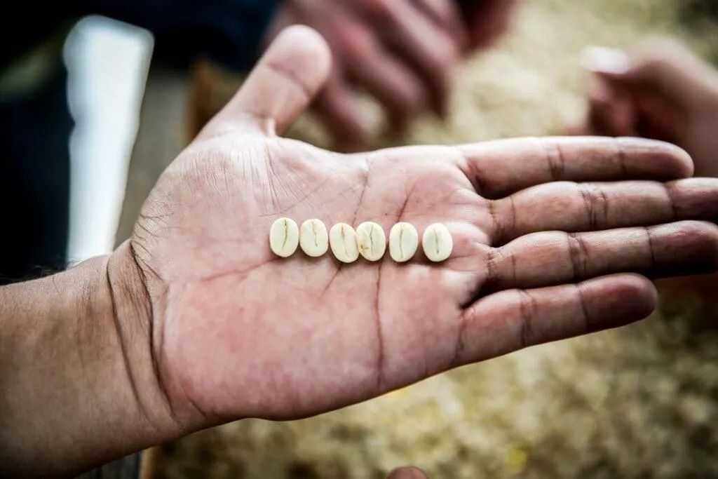 咖啡单品名字大全,单品咖啡和意式咖啡的区别是什么