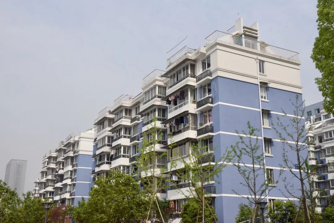 西兴街道17个社区，晒出半年成绩单~