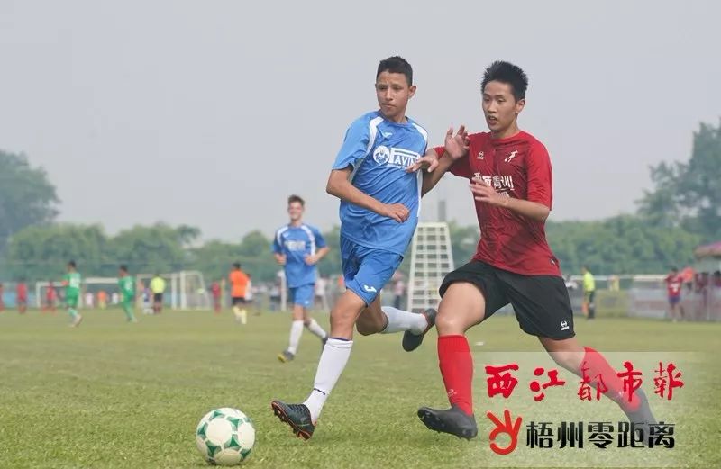 国际青少年足球盛会再揭战幕，157支队伍来梧竞逐