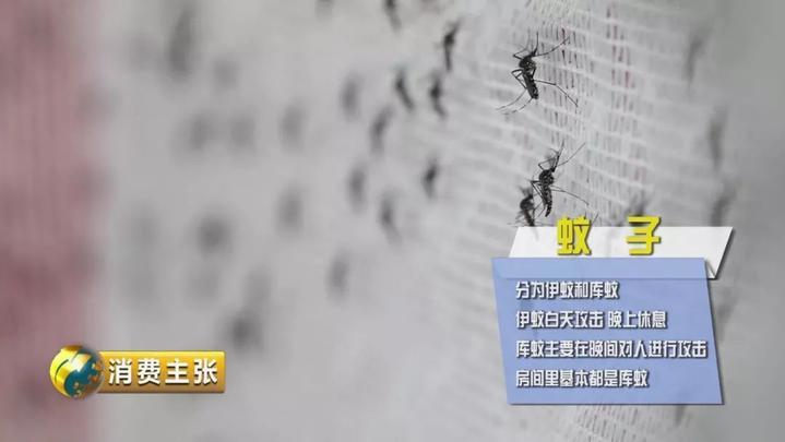 驱蚊贴驱蚊手环是智商税吗,驱蚊手环驱蚊贴驱蚊喷雾哪个好用