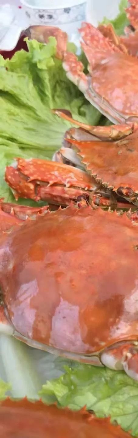 龙湾嗨海季,青岛西海岸嗨潮