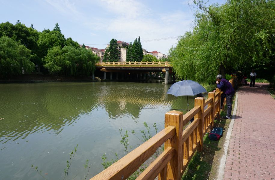 “两眼么擦黑”！还有比夜间春申塘绿地更适合拍鬼片的地方吗？