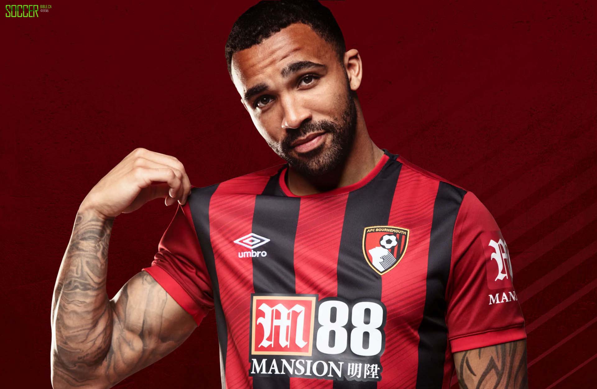 2023英超球衣排名,英超各队主场容量多大