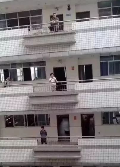 当代教师图鉴全集,当代老师图像