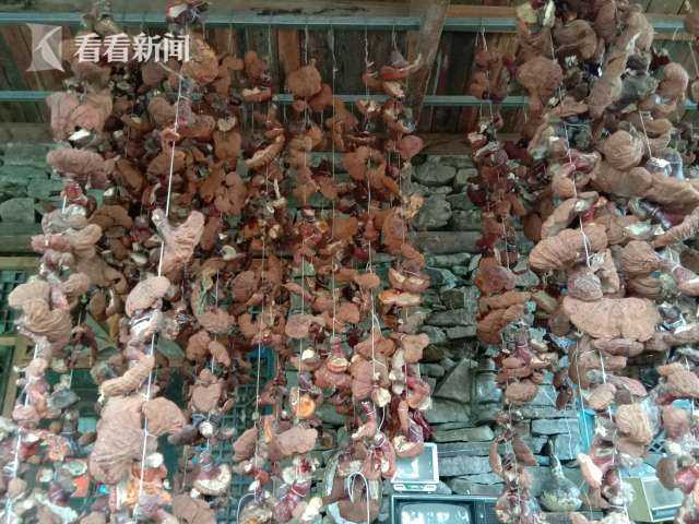 鍏氬缓寮曢鐢靛晢鍔╁啘,鍏氬缓鐢靛晢鍔╁姏鍙屽粖鑴辫传鏀诲潥