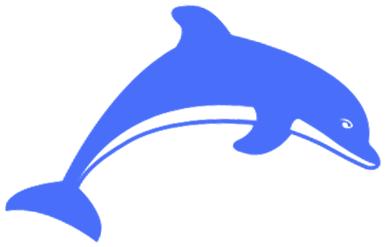 以案释法|假理赔半年侵吞9万元；微信代购*品毒**入境被批捕。