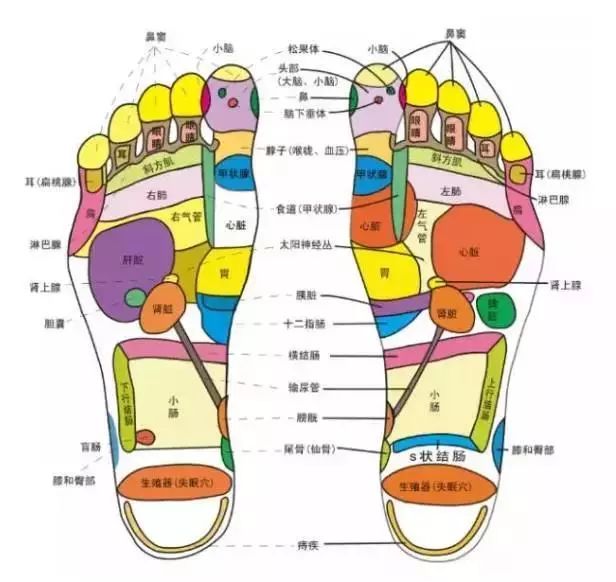 祛湿足贴的效果好吗,韩版养生祛湿足贴