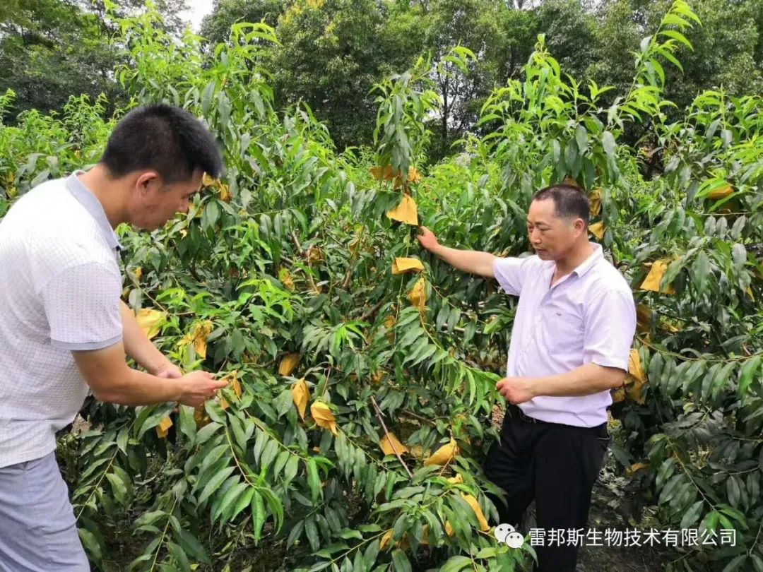 农资年入百万,农资挣钱