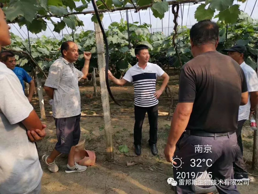 农资年入百万,农资挣钱