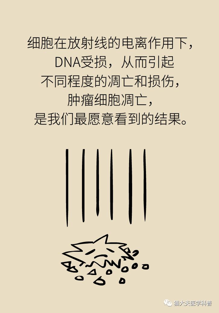 放疗和化疗的区别科普,放疗化疗相关知识