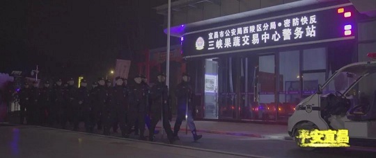 社会治安防控体系建设推进方案,社会治安防控体系建设工作情况