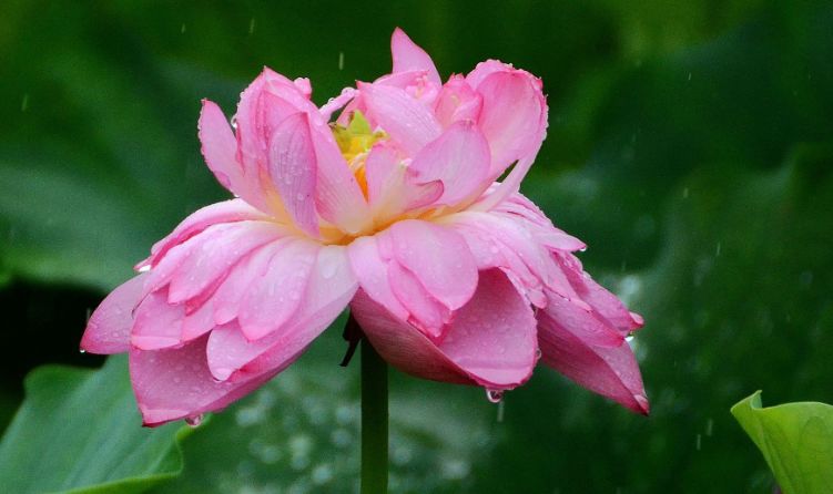 大厂日常生活,大厂夏天来了