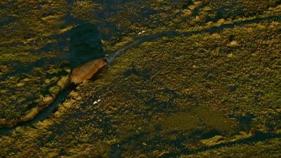 惊掉网友下巴的画面,豆瓣9.1分令人绝望