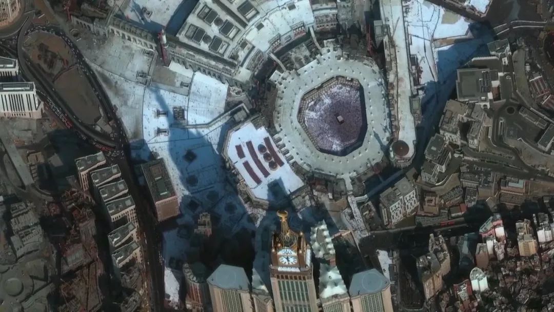 惊掉网友下巴的画面,豆瓣9.1分令人绝望