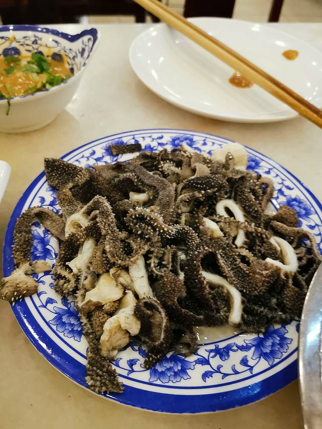 一家老小向前冲300集连续播放,一家老小向前冲共800集