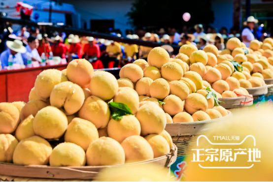 炎陵黄桃品牌,炎陵黄桃品牌排行