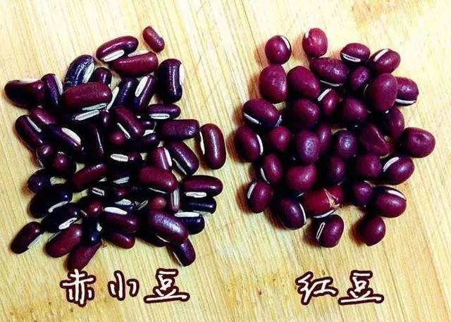 明星各个都有“干货”，你这个“湿人”就别诗情画意了