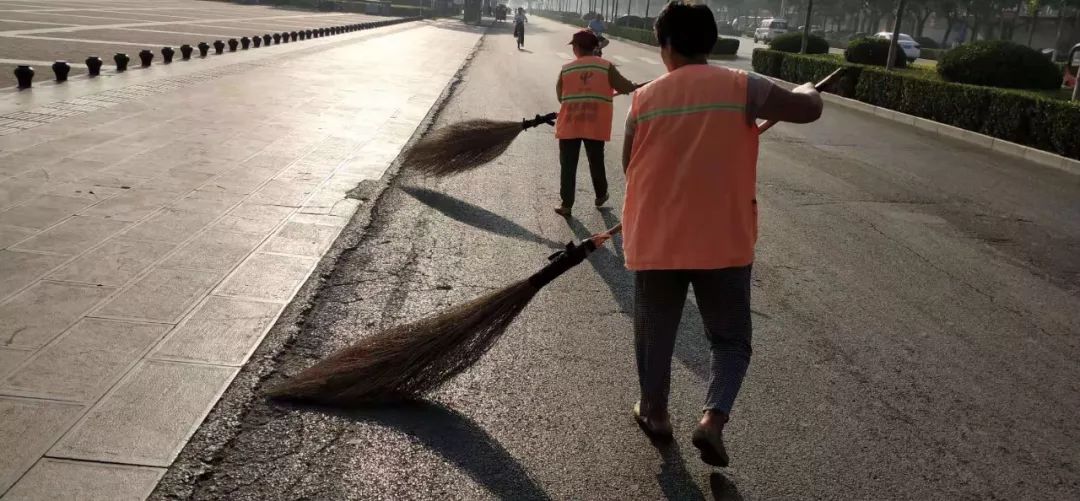 高温下，磁县娇艳的“城市黄玫瑰”