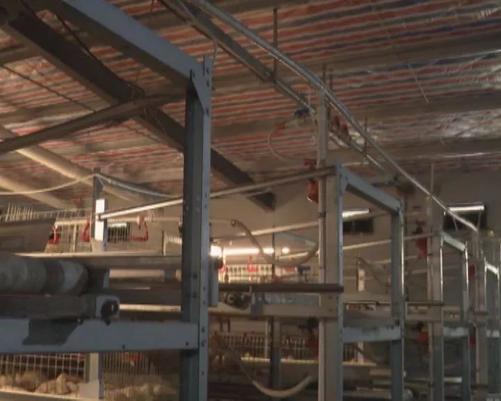 澶╁搴欓晣涓夎仈,鍏婚腑浜т笟鍙戝睍