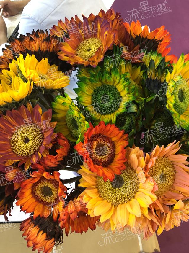 流星花园花艺加盟店,昆明流星花园鲜花加盟店