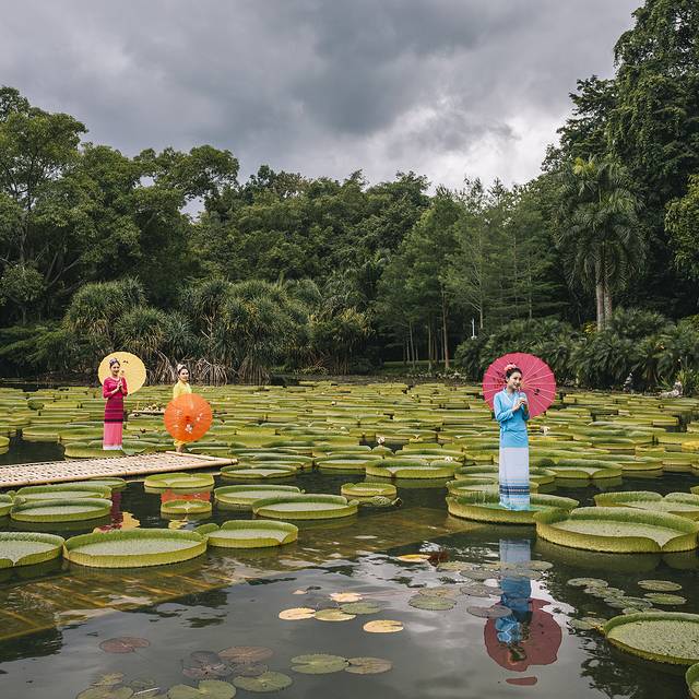 最后的净土,最后的净土格陵兰岛