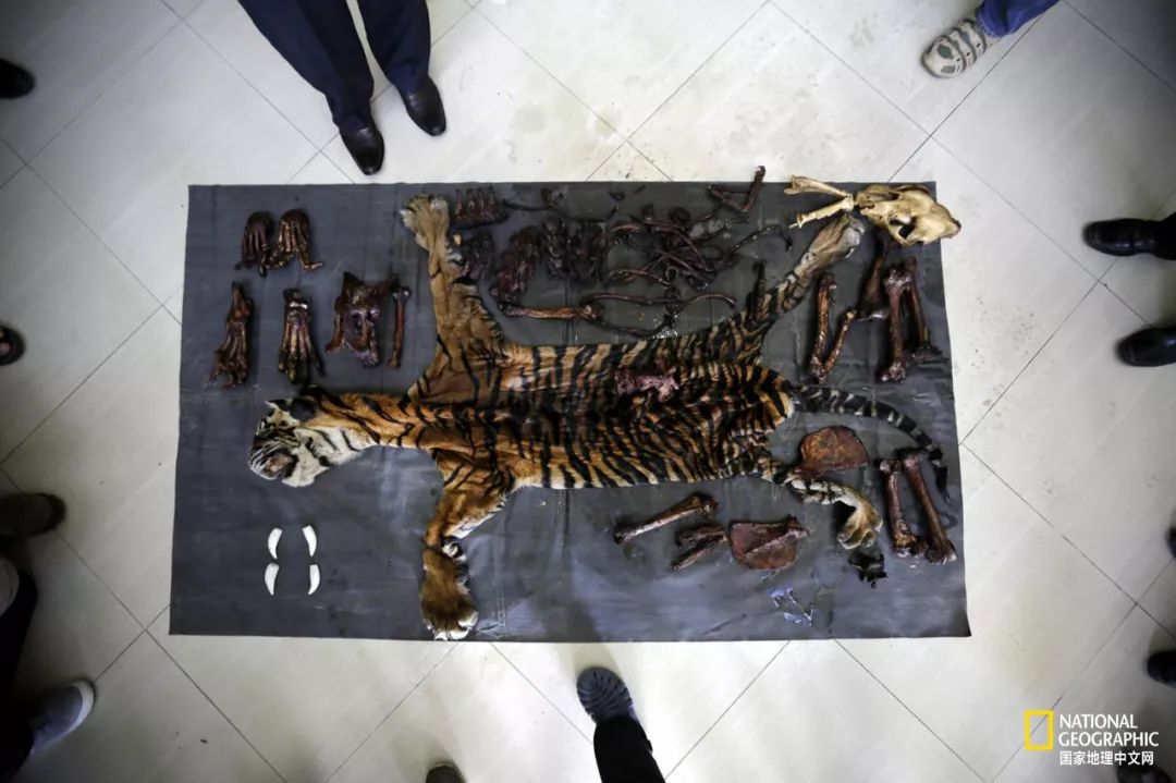 “谢谢你们,我们终于快死光了”