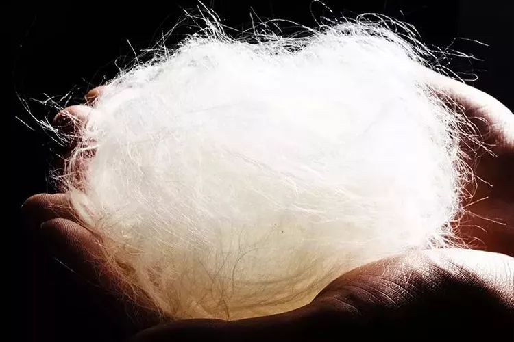 专为脚臭人士准备的抑菌防臭袜,多功能袜改善各种脚臭