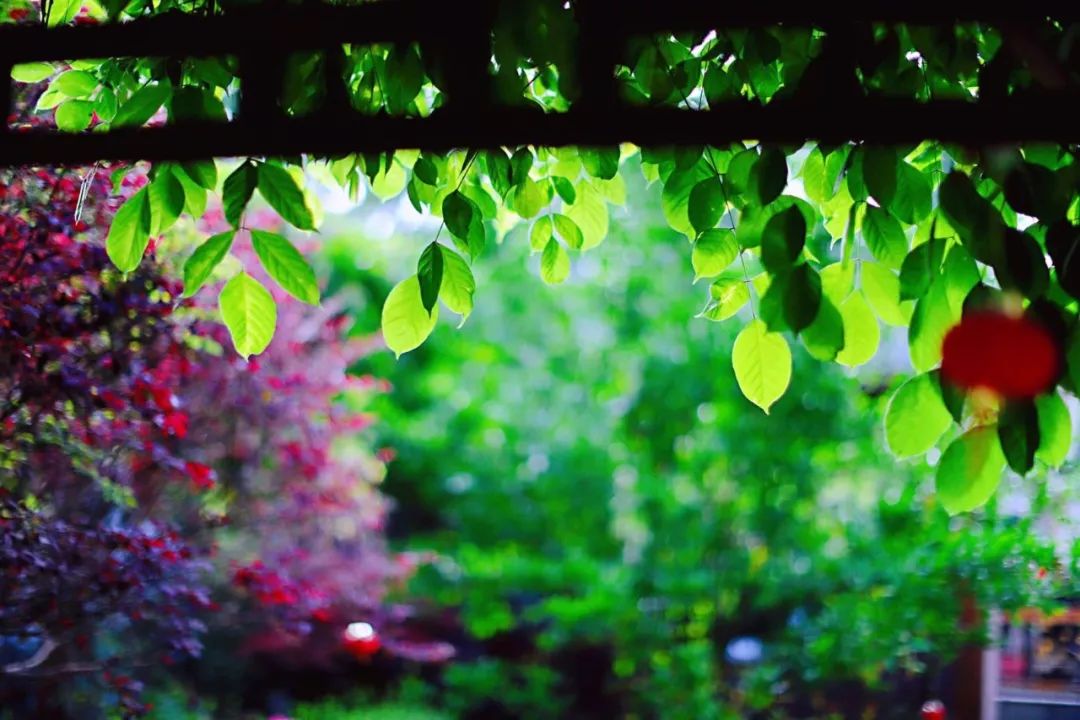 书法创作最雅致的200首对联,古今经典最著名的十副对联