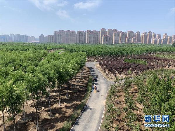 关注｜建设一片“绿谷”留下一座“宝库”——天津构筑“双城”绿色生态屏障