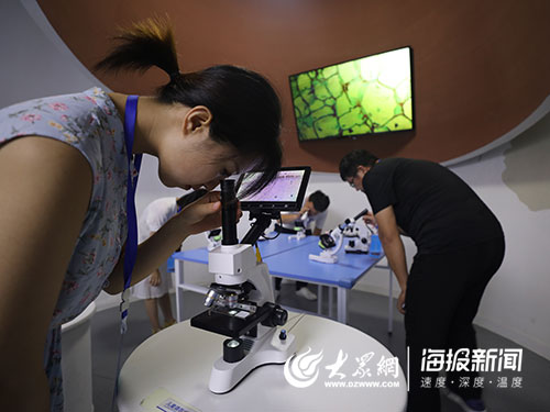 海洋人工造礁海洋牧场,海中农场