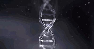 芦荟胶补水保湿提亮肤色晒后修复,万能芦荟胶补水美白修复敏感肌