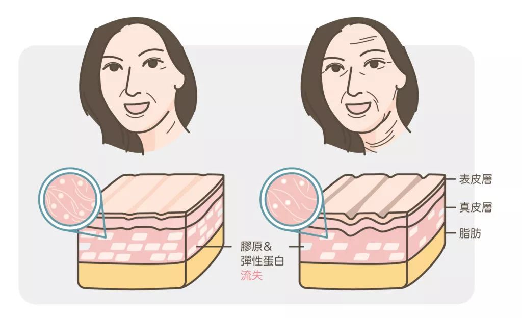女人美不美一看就知道,女生可以美到什么程度