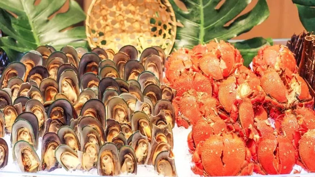 拔草厦门,厦门帆船酒店观景