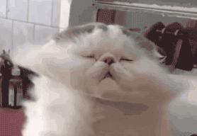 便宜又清凉的避暑地,避暑地推荐