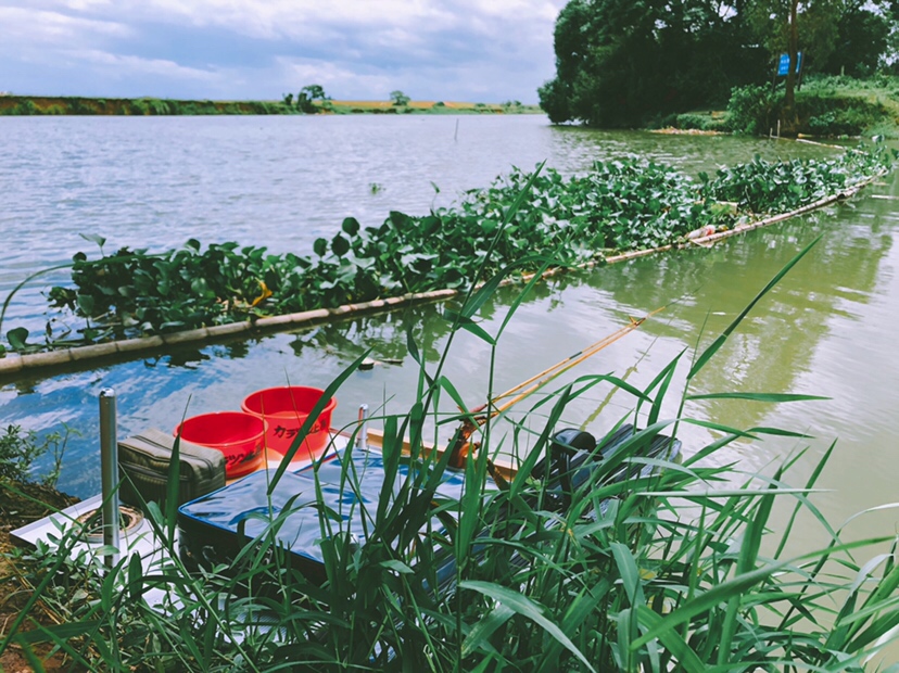 钓鱼装备全套小型鱼竿推荐,私人订制鱼竿路亚