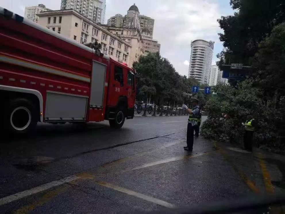 新车脱审年检,胆大新手提车直接独自上路