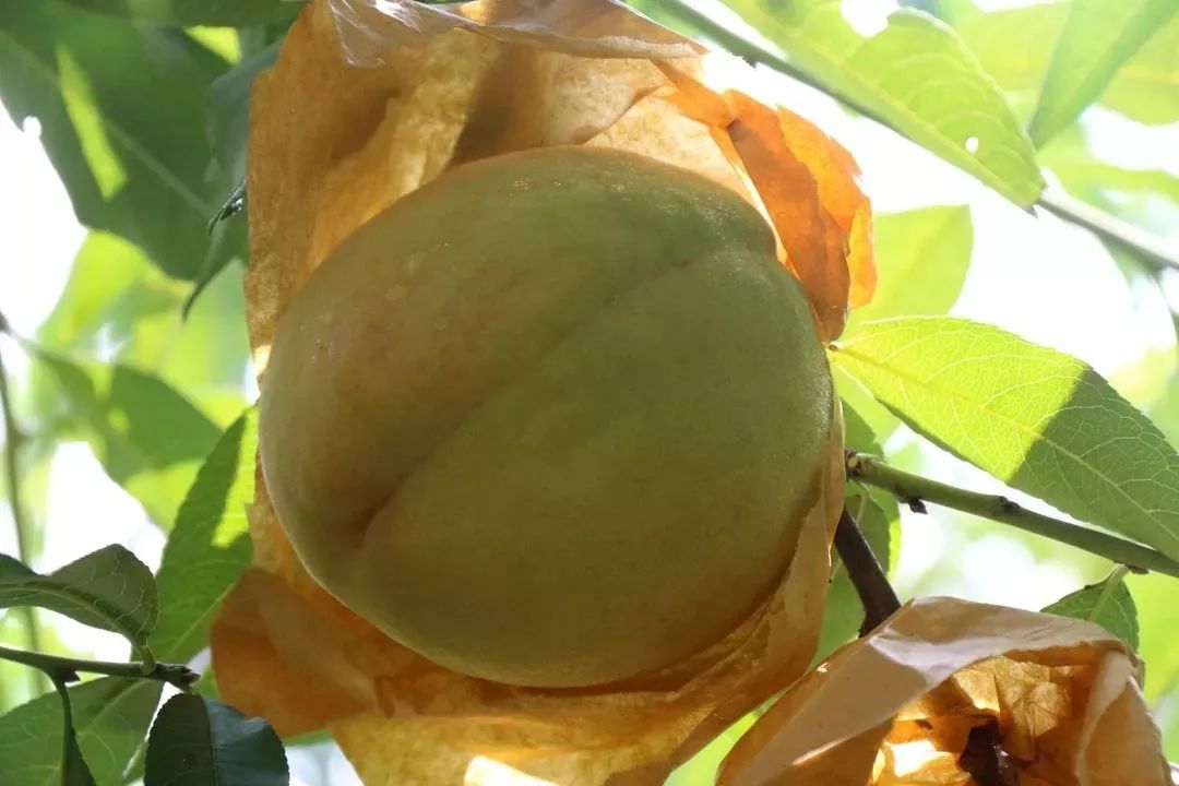 购购购！今天这里超热闹