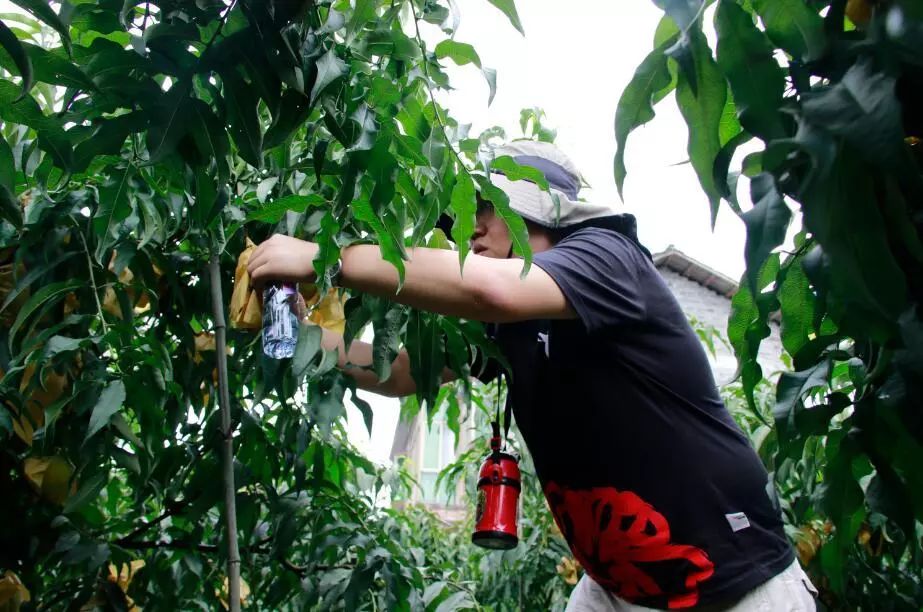 购购购！今天这里超热闹