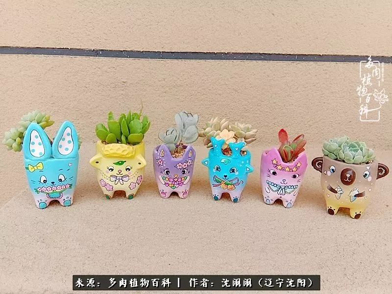 心若向阳无惧晴天,心若向阳不畏风雨