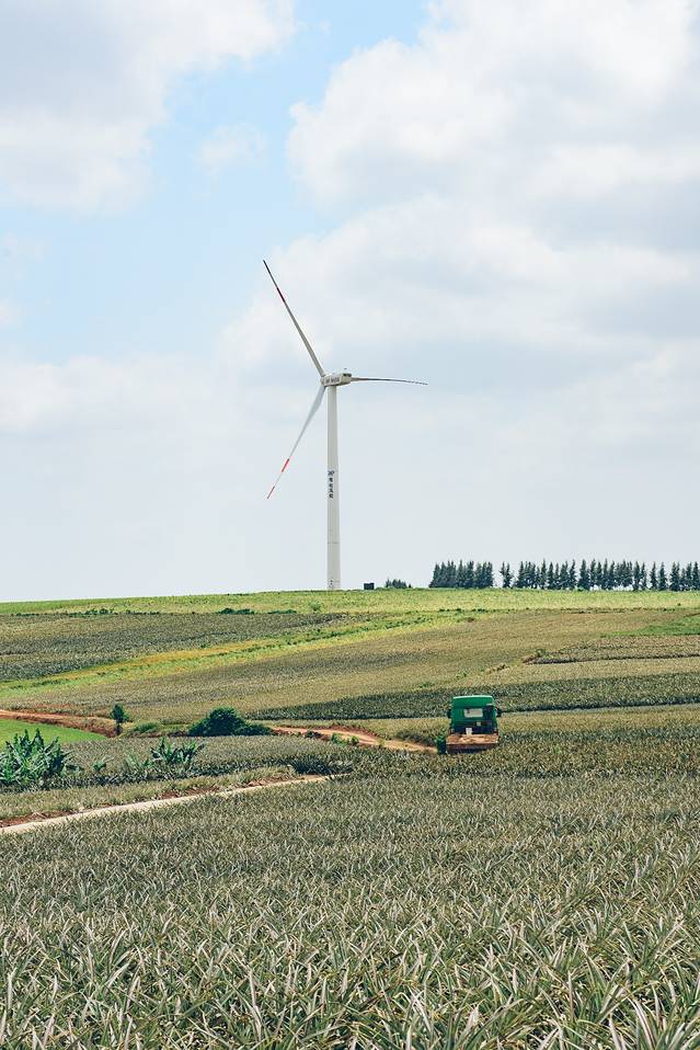 中国大陆最南端湛江旅行攻略,中国大陆最南端湛江景点