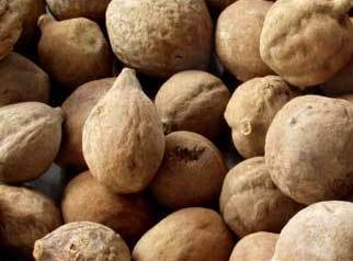 昔日女神负面消息缠身险过气，转手做生意却搞得风生水起