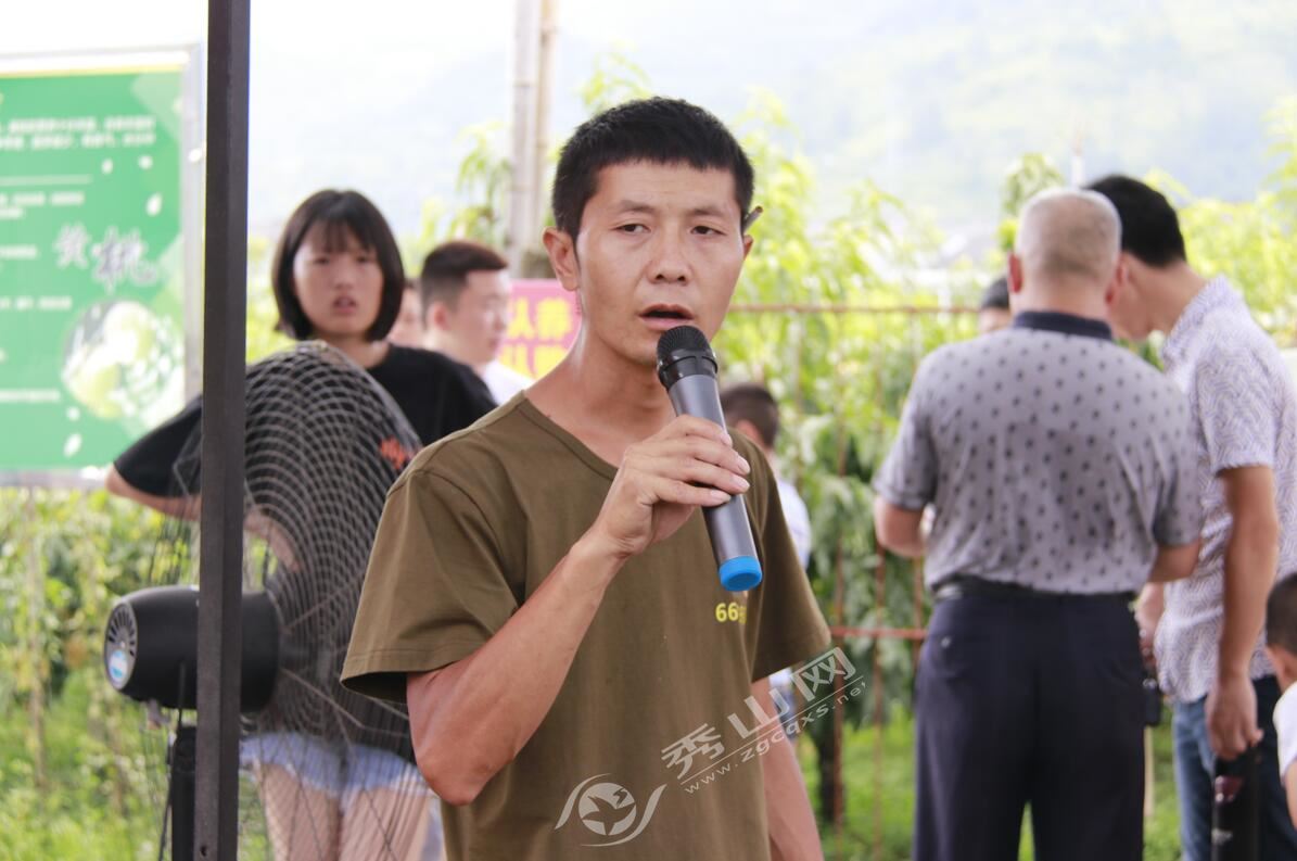 清溪黄桃园开展采摘活动,清溪龙凤维刚黄桃采摘园