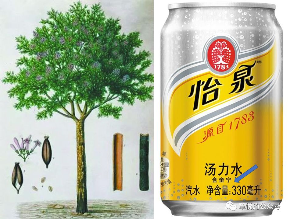 「章悦故事汇」试试就试试