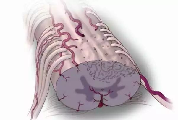 王红星医生怎么样,王红星康复