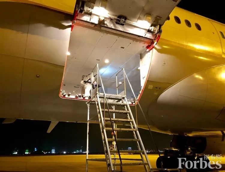 虫虫特工队,虫虫特工队成就