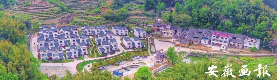 风华正安徽|金寨:我的名字叫红